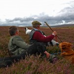DOGSGROUSE