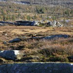 Pano2