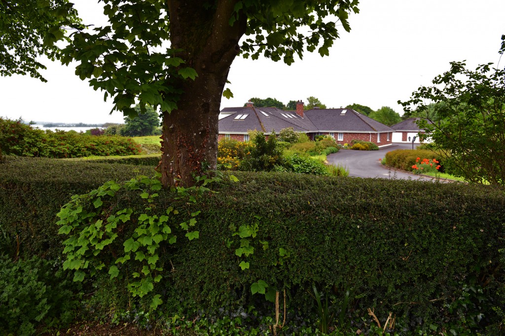 vacanza indimenticabile irlanda