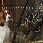 Hunting-800×500