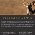 catalogo-caccia-28