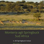 catalogo-caccia-30