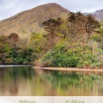 catalogo-pesca-15