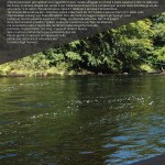 catalogo-pesca-16