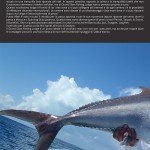 catalogo-pesca-18