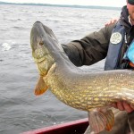 catalogo-pesca-2