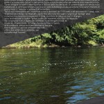 Listino-Prezzi-Pesca-2016 Casa Rizzini