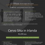 catalogo caccia 2016 Casa Rizzini