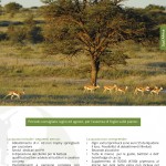 catalogo caccia 2016 Casa Rizzini