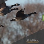 catalogo caccia 2016 Casa Rizzini