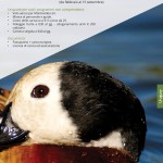 catalogo caccia 2016 Casa Rizzini