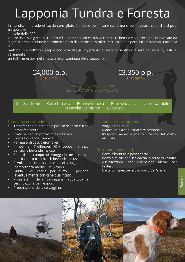 Lapponia tundra e foresta