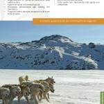 catalogo caccia 2016 Casa Rizzini