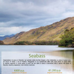 Listino-Prezzi-Pesca-201712