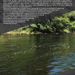 Listino-Prezzi-Pesca-201714